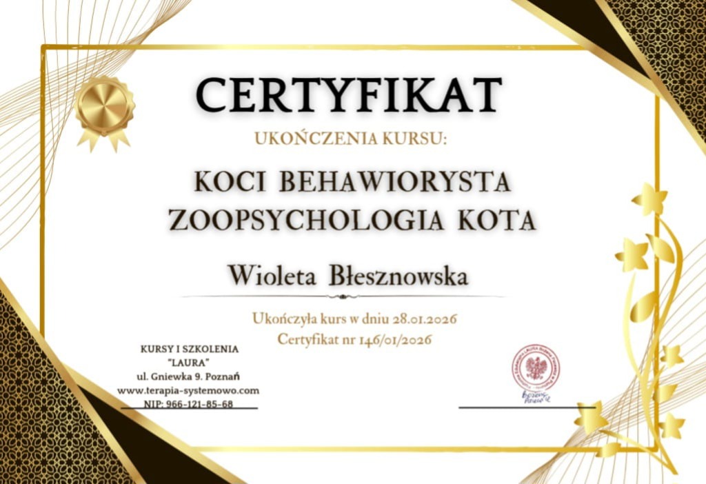 Certyfikat Koci Behawiorysta